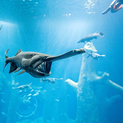 AQUATIS Aquarium-Vivarium Lausanne
