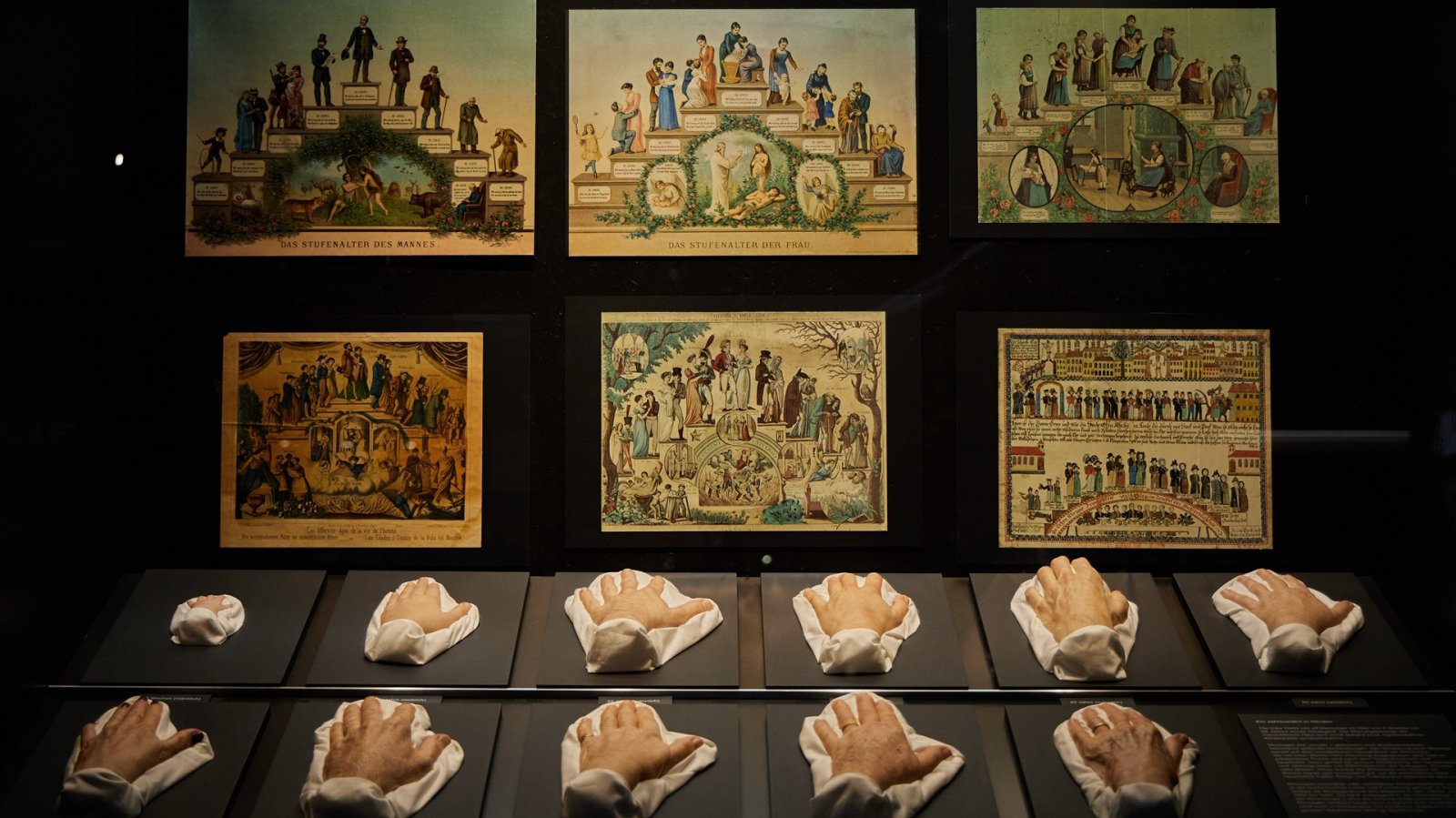 Handmoulagen in der Ausstellung 